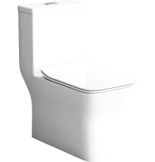 Унитаз-моноблок EvaGold SM9608 с микролифтом