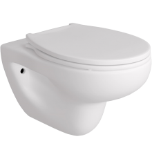 Унитаз подвесной Teymi Hanna Pro T40901 с микрофлитом, безободковый, белый