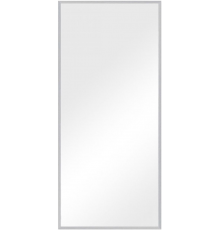 Зеркало Evoform Definite BY 1109 66x146 сталь