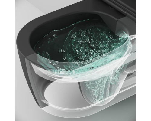 C8F1701MBSC Унитаз подвесной FlashClean с сиденьем микролифт, матовый C8F1701MBSC Унитаз подвесной FlashClean с сиденьем микролифт, матовый
