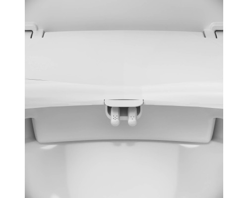CCM7851WH Механическая крышка-биде Clean Care CCM7851WH Механическая крышка-биде Clean Care