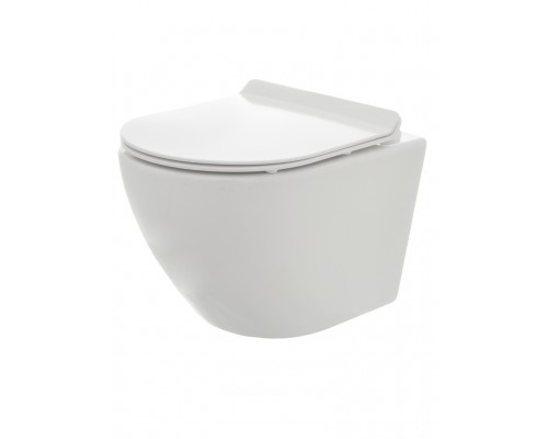 AQM2002 Унитаз подвесной с сиденьем SoftClose, смыв Rimless, скрытый крепеж. 490x370x360 AQM2002
