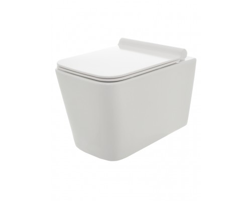 AQM2003 Унитаз подвесной с сиденьем SoftClose, технология смыва Rimless, скрытый крепеж. 530x365x360 AQM2003