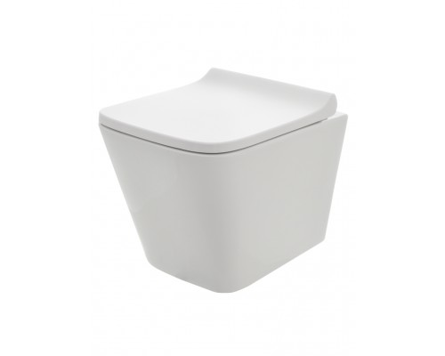 AQM2004 Унитаз подвесной с сиденьем SoftClose, технология смыва Rimless, скрытый крепеж. 490x340x350 AQM2004