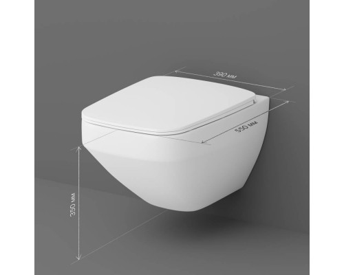 C50A1700SC Унитаз подвесной, безободковый, с быстросъемным сиденьем микролифт C50A1700SC Унитаз подвесной, безободковый, с быстросъемным сиденьем микролифт