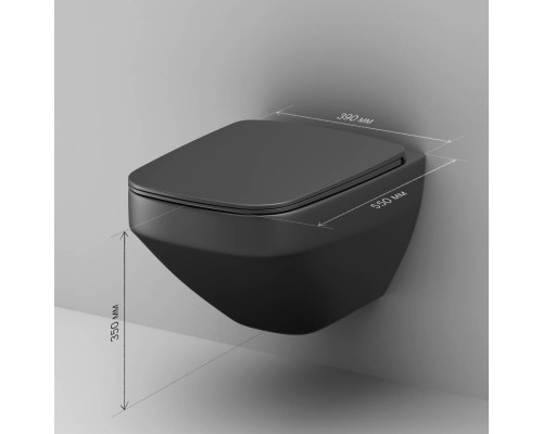 C50A1700MBSC Унитаз подвесной FlashClean с сиденьем микролифт