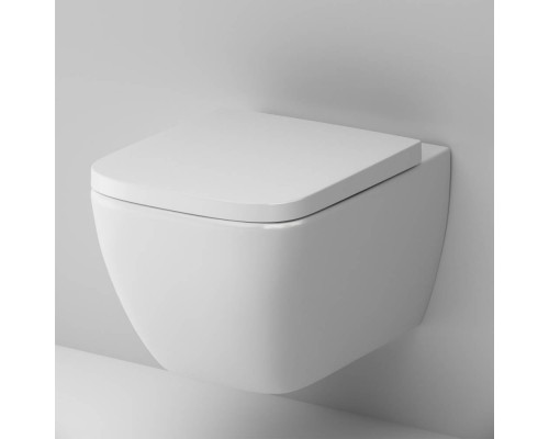 C901701SC Унитаз подвесной FlashClean с сиденьем микролифт C901701SC Унитаз подвесной FlashClean с сиденьем микролифт