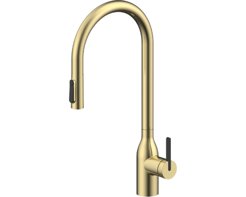 Смеситель для кухни Paulmark Universal Un213880-SBG светлое брашированное золото