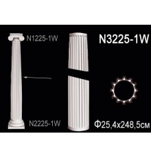Тело колонны N3225-1W