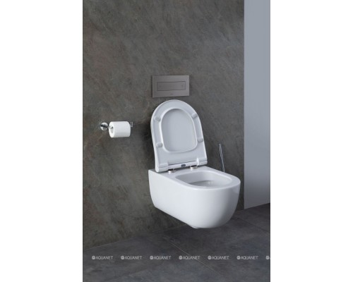 Унитаз подвесной Allen Brau Priority 4.31001.20 белый