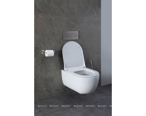 Унитаз подвесной Allen Brau Priority 4.31001.20 белый