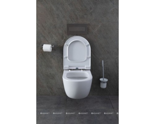 Унитаз подвесной Allen Brau Priority 4.31001.20 белый