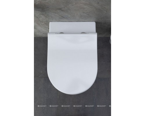 Унитаз подвесной Allen Brau Priority 4.31001.20 белый