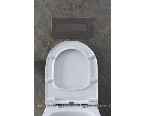 Унитаз подвесной Allen Brau Priority 4.31001.20 белый