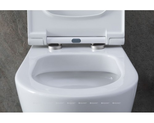 Унитаз подвесной Allen Brau Priority 4.31001.20 белый