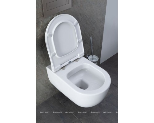 Унитаз подвесной Allen Brau Priority 4.31001.20 белый