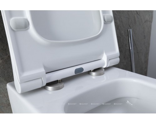 Унитаз подвесной Allen Brau Priority 4.31001.20 белый