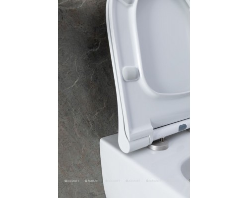 Унитаз подвесной Allen Brau Priority 4.31001.20 белый