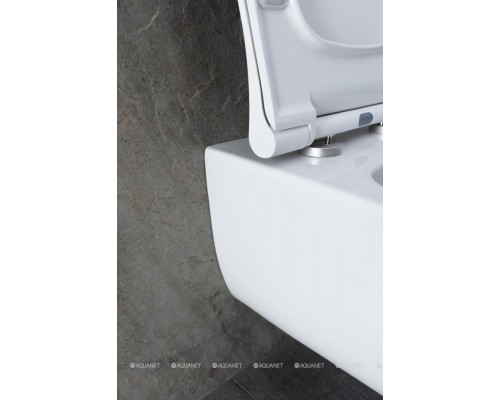 Унитаз подвесной Allen Brau Priority 4.31001.20 белый