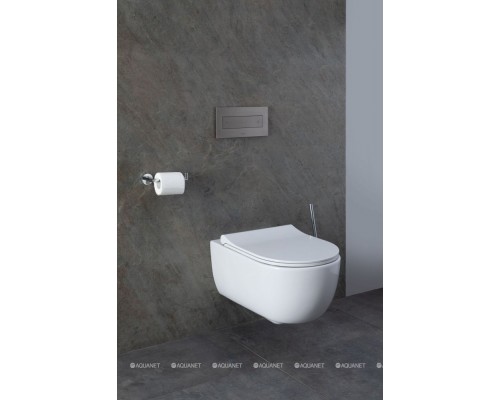 Унитаз подвесной Allen Brau Priority 4.31001.20 белый