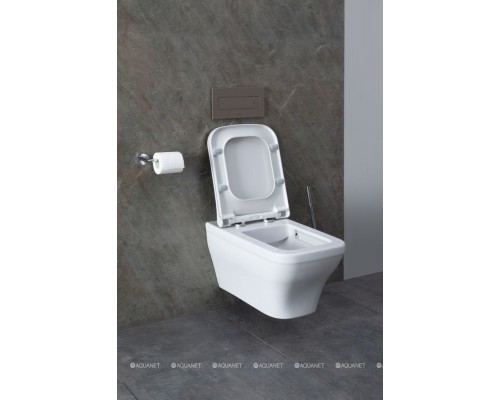 Унитаз подвесной Allen Brau Infinity 4.21011.20 белый