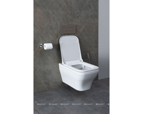 Унитаз подвесной Allen Brau Infinity 4.21011.20 белый