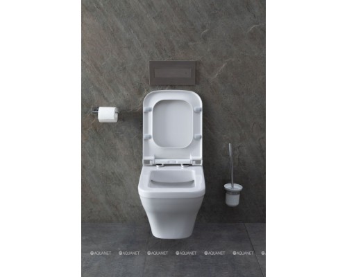 Унитаз подвесной Allen Brau Infinity 4.21011.20 белый