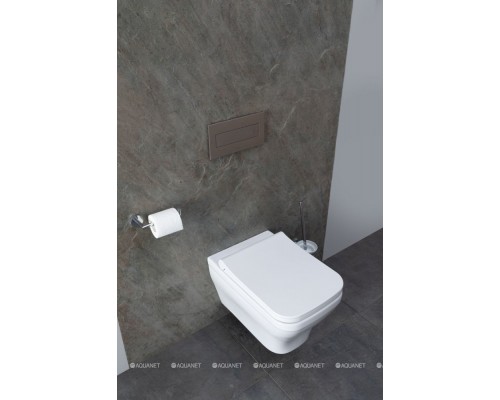 Унитаз подвесной Allen Brau Infinity 4.21011.20 белый