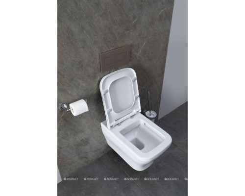 Унитаз подвесной Allen Brau Infinity 4.21011.20 белый