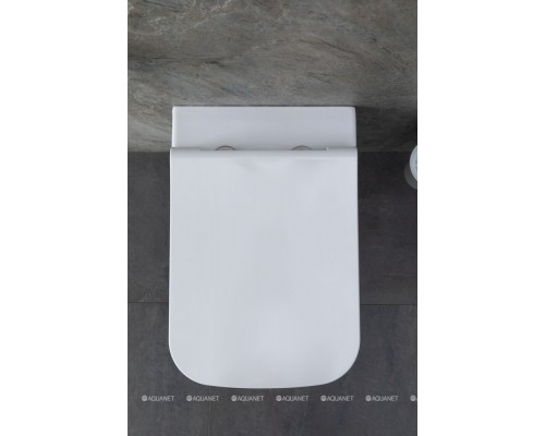 Унитаз подвесной Allen Brau Infinity 4.21011.20 белый