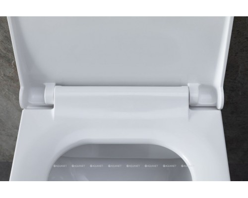 Унитаз подвесной Allen Brau Infinity 4.21011.20 белый