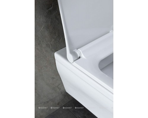 Унитаз подвесной Allen Brau Infinity 4.21011.20 белый