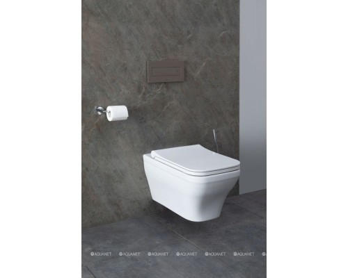 Унитаз подвесной Allen Brau Infinity 4.21011.20 белый