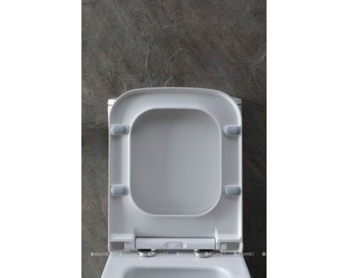 Унитаз-компакт Allen Brau Infinity 4.21012.20 белый