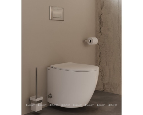 Клавиша смыва Allen Brau Infinity 9.20006.BN сталь браш