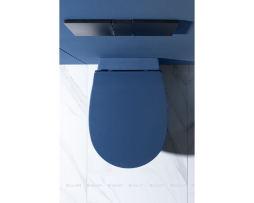 Унитаз подвесной Allen Brau Fantasy 4.11004.ID индиго