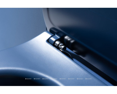 Унитаз подвесной Allen Brau Fantasy 4.11004.ID индиго