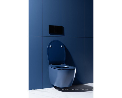 Унитаз подвесной Allen Brau Fantasy 4.11004.ID индиго