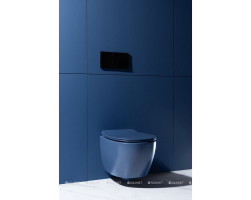 Унитаз подвесной Allen Brau Fantasy 4.11004.ID индиго