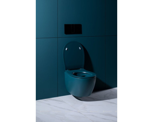 Крышка-сиденье для унитаза Allen Brau Fantasy Soft-Close 4.11005.PT петроль