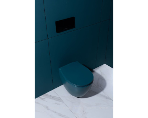 Крышка-сиденье для унитаза Allen Brau Fantasy Soft-Close 4.11005.PT петроль