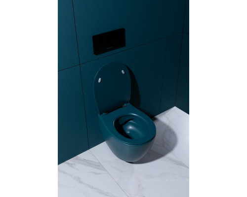 Крышка-сиденье для унитаза Allen Brau Fantasy Soft-Close 4.11005.PT петроль