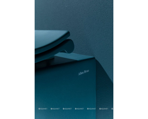 Унитаз подвесной Allen Brau Fantasy 4.11004.PT петроль