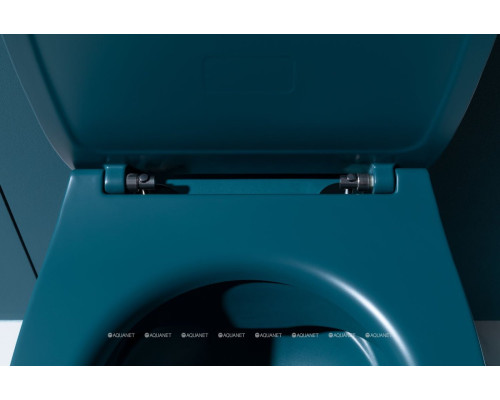 Унитаз подвесной Allen Brau Fantasy 4.11004.PT петроль