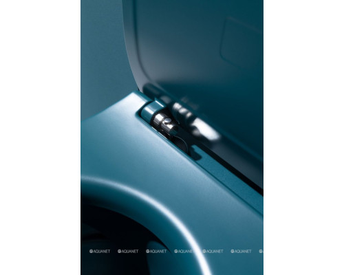 Крышка-сиденье для унитаза Allen Brau Fantasy Soft-Close 4.11005.PT петроль