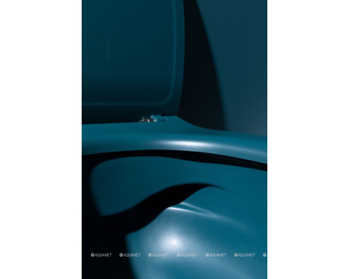 Унитаз подвесной Allen Brau Fantasy 4.11004.PT петроль