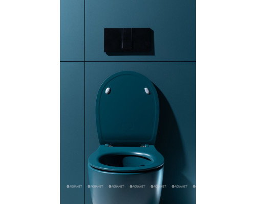 Унитаз подвесной Allen Brau Fantasy 4.11004.PT петроль