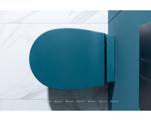 Крышка-сиденье для унитаза Allen Brau Fantasy Soft-Close 4.11005.PT петроль