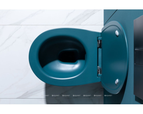 Унитаз подвесной Allen Brau Fantasy 4.11004.PT петроль