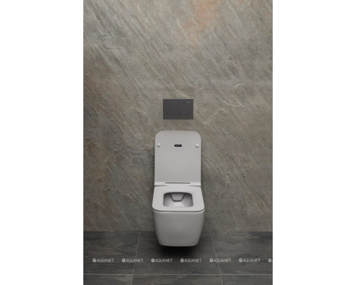 Унитаз подвесной Allen Brau Liberty 4.33007.AN антрацит